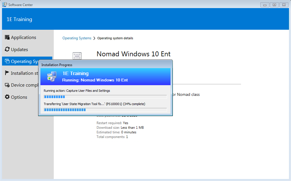 Running Nomad Windows 10 Ent