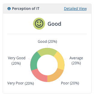 Perception of IT