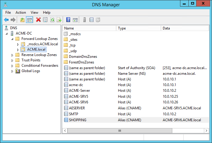 Setting up the DNS lookup in the DNS manager