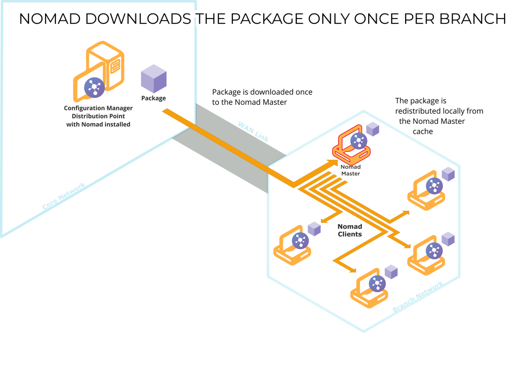 Download once per branch