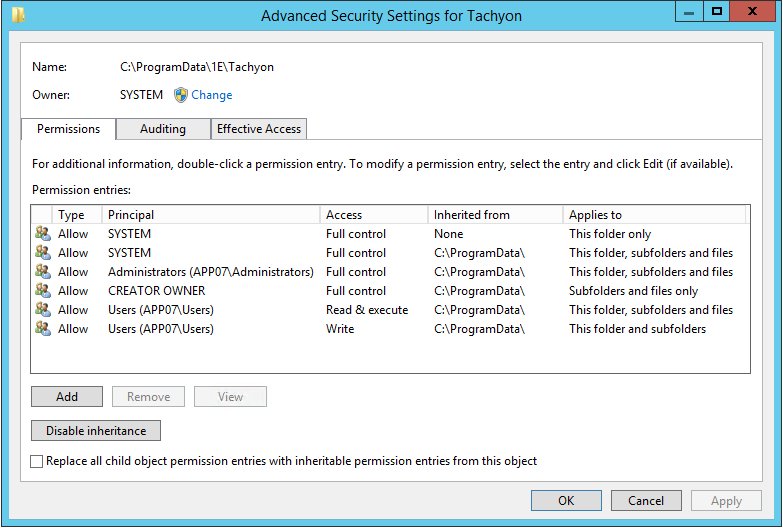 NTFS Advanced Security Settings 2