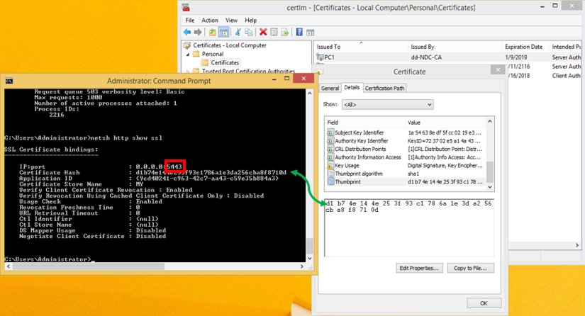 Checking certificate bindings with NETSH