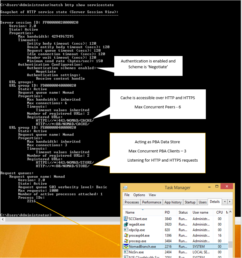 Checking the status of the HTTP server using NETSH