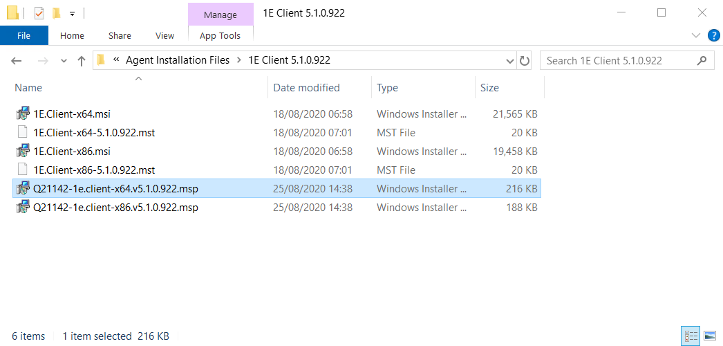 1E Client MSP files